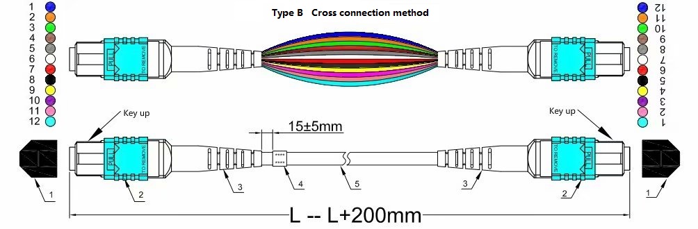 Qual è il tipo di sequenza di fili dei ponticelli in fibra MPO?